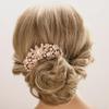 Aimimier Luxury Crystal Inlaid Flower Hair Side Combs Decorative Rhinestone Headpieces Wedding Hair Accessories for Women(Champagne) view 1