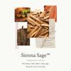 Thymes Sienna Sage Body Scrub - Body Exfoliator for Skin Care Routine - Moisturizing and Exfoliating Body Scrub, Face Scrub, Foot Scrub (7 Fl oz) view 3