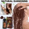 cosmpro Hair Dye Shampoo Chestnut Brown Hair Color Shampoo for Gray Hair Coverage Herbal Hair Dye Shampoo 3 in 1 for Men and Women, Instant Color Shampoo view 2