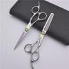 Hair Cutting Scissors, 6 Inch Professional Japan 440c Steel Silver Hair Scissors Cutting Barber Haircut Thinning Shears Hairdresser Scissors set view 1