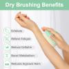 Dry Brushing Body Exfoliating Brush, Anti Slip Body Scrubber for Shower, Shower Body Cleaning Brush for Deep Cleansing & Soften Skin, Improve Circulation (Green) view 3