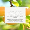 VIVAIODAYS Fragrance Free Apricot Oil Nourishing Face & Body Lotion view 2