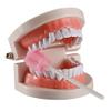 Oral Care Swabs Disposable Pink 50 Counts view 3
