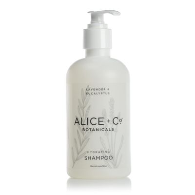 Alice + Co. Shampoo | Lavender & Eucalyptus | Hotel Bath Amenities | Fairfield by Marriott | 8.5oz Shampoo