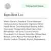 Dermazen Purifying Facial Cleanser, Soothe and Relieve Seborrheic Dermatitis - 4 fl oz view 2