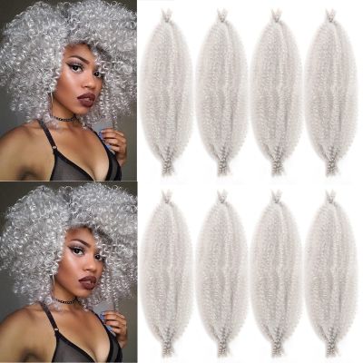 12 Inch Springy Afro Twist Hair 8 Packs Marley Twist Braiding Hair Pre-fluffed Spring Twist Hair Kinky Hair Afro Twist Hair Marley Hair for Faux Locs (12 Inch (Pack of 8), Silver# Marley Twist)