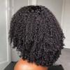13x6 Lace Front Afro Kinky Curly HD Lace Front Wig Human Hair With Bangs For Women Brazilian Remy Hair Pre Plucked With Baby Hair 180% Density Glueless Natural Hairline Wig Bleached Knots 24Inch view 4