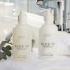 Alice + Co. Shampoo & Conditioner | Lavender & Eucalyptus | Fairfield by Marriott | Hotel Bath Amenities | 8.5 oz Bottles | Hair Care Set view 4