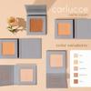 Carlucce Cache Cream 3-in-1 Makeup Color Palette (Faultless)  Foundation, Concealer & Primer in One  Medium to Full Coverage, Natural Finish, Vegan & Cruelty-Free Formula view 2