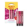 Burts Bees Kissable Color Warm Gift Set, 1 EA view 2