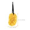 FRCOLOR 3pcs Honeycomb Bath Exfoliating Shower Sponge for Body Wash Breathable for Deep Cleansing and Gentle Exfoliation for Daily Use view 3