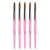 Rolabling 5pcs10# Kolinsky Sable Brush Acrylic Nail Art Brush Nail Art Painting Brush (5Pcs size 10#) view 2