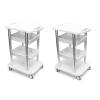 Elitzia Facial Trolley 2 Piece Per Set 4 Shelf ABS Aluminum Silver Frame Beauty Salon SPA Organizer Trolley Styling Pedestal Rolling Cart 80 Pounds Weigh Capacity ETTRO5S (2pcs Silver cart) view 1