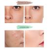Joyeee Dark Circle Concealer Set, 5 Shades Highly Pigmented, Liquid concealer for dark circles & Full face, 24h Full Coverage Matte Finish Stay-in-Place Makeup, Net Wt per Piece 0.5 fl oz view 3