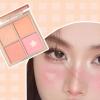 Ymiko Metallic Powder Blush Palette - Soft Pink, All-Day Wear, Velvet Finish, Face Contouring, Build-Your-Own Look view 2