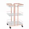 Esthetician Cart with Wheels Utility Salon Rolling Trolley, Mobile Storage Organizer for Beauty Spa Cosmetology Massage, Tattoo Manicure Facial Tool Holder Station view 1