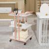Esthetician Cart with Wheels Utility Salon Rolling Trolley, Mobile Storage Organizer for Beauty Spa Cosmetology Massage, Tattoo Manicure Facial Tool Holder Station view 2