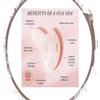 Aura - Live life beautifully Premium Certified Luxury 100% Authentic Rose Quartz Pink Roller & Gua Sha Set for Anti-Aging Skin Care, Muscle Relaxation, Fine Line Reduction, and Eye Puffiness Relief view 4