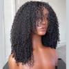 Azedssw Curly Wig Human Hair 13X6 Lace Front Wig Lace Frontal Wig Pre Plucked For Black Women 13x6x55 Brown Lace 10 Inch 200 Density view 2