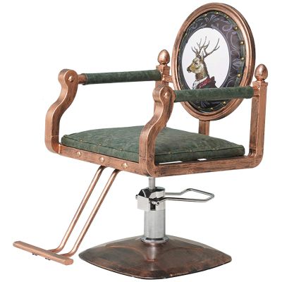 DFONCE Barber Chair Salon Hairdressing Barber Chair,Hydraulic Barber Chair Salon Hair Beauty Chair Styling Equipment,C (Color : A)