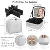 MOMIRA Makeup Bag with Mirror and Light Travel Makeup Train Case Cosmetic Bag Organizer Portable Artist Storage Bag with Adjustable Dividers Makeup Brushes Storage Organizer Silver view 2