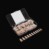 Apres Nail Neutrals Gel-X Alex Natural Coffin Medium & Lila Natural Round Medium Box of Tips Bundle | Includes 300 Gel-X Tips | Premium Quality | 11 Sizes 00-9 view 3