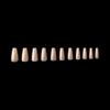 Apres Nail Neutrals Gel-X Alex Natural Coffin Medium & Lila Natural Round Medium Box of Tips Bundle | Includes 300 Gel-X Tips | Premium Quality | 11 Sizes 00-9 view 4