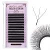 Arison Lashes 3D W Shape Eyelash Extension Natural Soft Volume Premade Fans Faux Mink Matte Black Cluster 12 rows(3DW-0.07-C-14mm) view 1