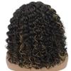 LUXLUXE Nadia 14.5 Side-parted HD Lace Front Medium Length Natural Looking Curls With Fine Baby Hair, Heat Resistant Fibers, (Black with Golden Highlights) view 3
