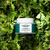 EqualRXN Purslane Prebiotic Moisturizer - Lightweight Daily Skin Repair Hydrating Gel-Cream with 1% Purslane Extract & Ceramide for All Skin Types view 2