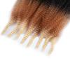 18 Inch Pre-Separated Springy Afro Twist Hair 8 Packs Pre-Fluffy Natural Curls are Perfect for Marley Crochet Hair Suitable for Black Women (1B/27/613, 18 Inch (Pack of 8)) view 4