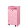 FRITHJILL Salon Station with Wheels and Hair Dryer Holders for Barber Shop, Hair Stylist Equipment, 31.1" Tall Locking Makeup Organizer Cabinet, Pink view 1