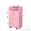 FRITHJILL Salon Station with Wheels and Hair Dryer Holders for Barber Shop, Hair Stylist Equipment, 31.1" Tall Locking Makeup Organizer Cabinet, Pink view 3
