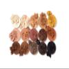 DOMINIQUE COSMETICS Transition Palette view 2