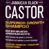 Hair Chemist Superior Growth Jamaican Black Castor Shampoo 33.8oz & Conditioner 33.8oz - 2-PC Shampoo & Conditioner for Hair Growth view 3
