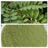 BETT Etheric Pure Indigo Leaves Powder (200 Grams) view 3