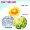 156 Patches Acne Patch Colorful Hydrocolloid Pimple Patch with Natural Tea Tree Oil, Cute Star and Love Heart Shaped Acne Absorbing Cover Patch Kit for Face Zits, Pimples, Blemishes, Spots Acne Dots view 4
