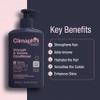 Climaplex Strength and Volume Conditioner - Moisturizing and Protective Properties - Contains Detangling Benefits - Leaves Hair Silky Smooth - Suitable for All Hair Types - Cruelty Free - 13.52 oz view 2
