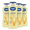 Vaseline Intensive Care Body Lotion Nourishing Moisture 4 Count for Dry Skin, with Ultra-Hydrating Lipids + Pure Oat Extract 20.3 oz view 1