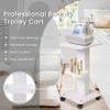 SEA PUNK Salon Spa Trolley, Esthetician Cart with Wheels, Beauty Rolling Trolley Stand Instrument, Tray Rolling Cart with Storage Tray view 2