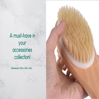 Bath/Body/Massage Brush