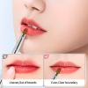 Unaone [2 Pack] Lip Brush for Lipstick, Retractable Lip Brushes, Dual-ended Makeup Brush for Lipstick Lip Gloss, Include Lid Silver and Green view 3