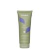 Echosline Anti-Yellow Hair Mask Neutralizes Brassy Tones NO YELLOW anti-yellow mask 300 ml. / 10.1 fl.oz. view 1