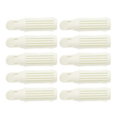 SHERCHPRY 10pcs Volumizing Hair Root Clip, Hair Root Curlers, Hair Rollers Clip, Hairstyle, White