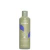 Echosline Anti-Yellow Hair Shampoo Neutralizes Brassy Tones - 300 ml. / 10.1 fl.oz. view 1