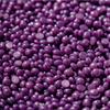 KoluaWax Hard Wax Beads for Hair Removal  Coarse Hair Formula  Face, Brazilian, Underarms, Back Chest, Bikini Waxing  Lavender Bliss, 1lb Refill for Wax Warmers & 10 Large Applicator Sticks, 2 Pack view 2