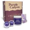 Purple Canyon 6 Piece Lavender Bath-to-Bed Gift Box | Bath Bombs, Soap, and Body Butter Infused with Magnesium and Deep Sea Minerals | Self-Care Products for Rest and Relaxation view 1