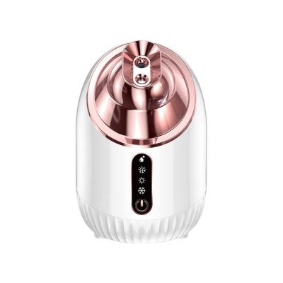 WHNL Facial Steamer - Nano Ionic Facial Steamer with Cold&Warm&Hot Mist,240ml Large Water Tank,Small Face Humidifier,White