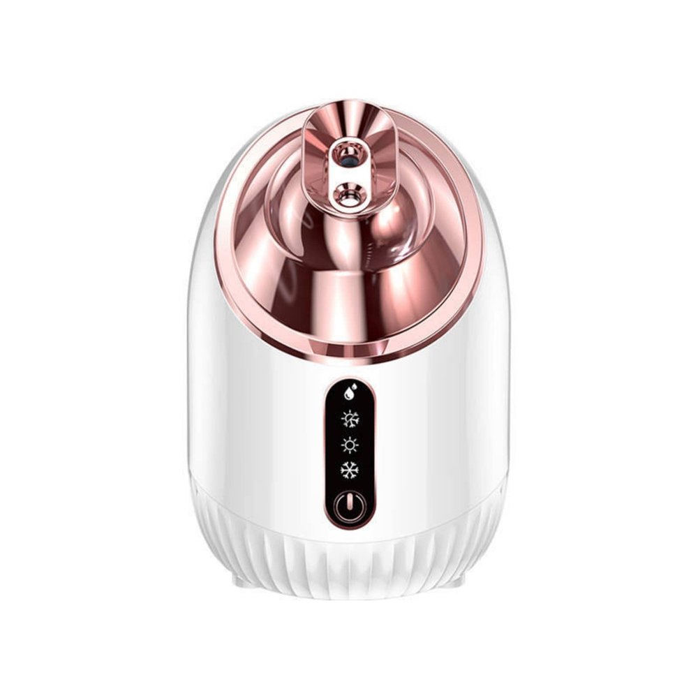 WHNL Facial Steamer - Nano Ionic Facial Steamer with Cold&Warm&Hot Mist,240ml Large Water Tank,Small Face Humidifier,White