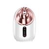 WHNL Facial Steamer - Nano Ionic Facial Steamer with Cold&Warm&Hot Mist,240ml Large Water Tank,Small Face Humidifier,White view 1
